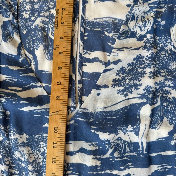 Reformation Naked Lunch Print Blue and White Maxi Dress - Picture 14 of 15